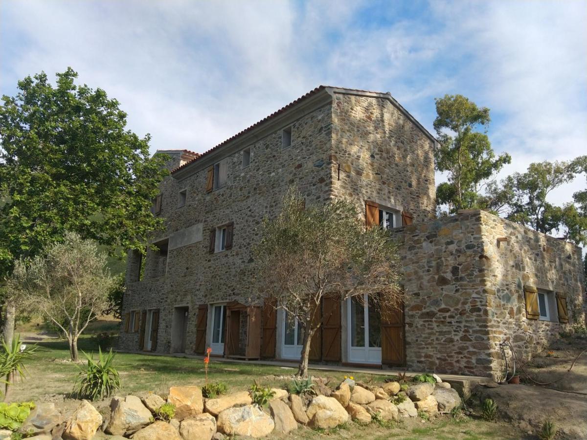 Hotel Mulinu Biancu Poggio-d'Oletta Exteriér fotografie