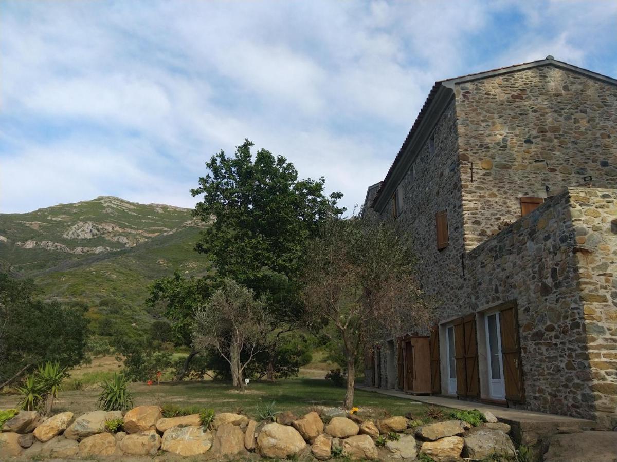Hotel Mulinu Biancu Poggio-d'Oletta Exteriér fotografie